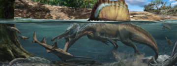 Artists Interpretation of a Spinosaurus Swimming An artists interpretation of a spinosaurus swimming
